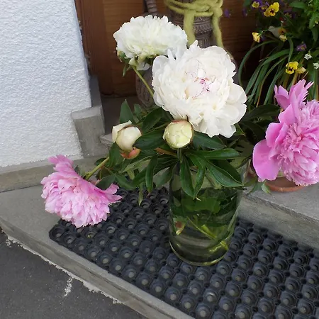 Konukevi Sonnenberg